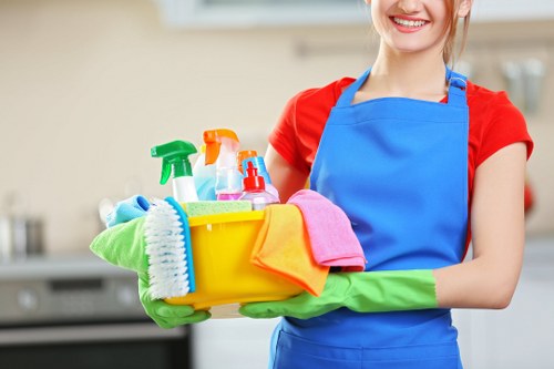 Kitchen and bathroom domestic cleaning in Chiswick