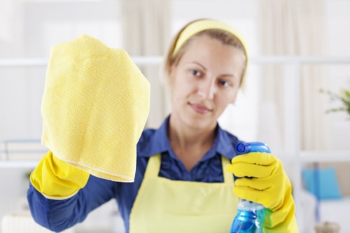 Professional upholstery cleaning for a sofa in Chiswick