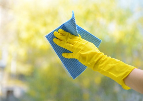 Professional home cleaners providing domestic cleaning in a Chiswick living room