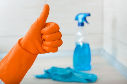 Carpet cleaning appointment details being confirmed during booking