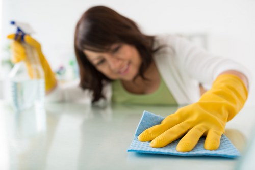 Detailed home deep cleaning in Chiswick