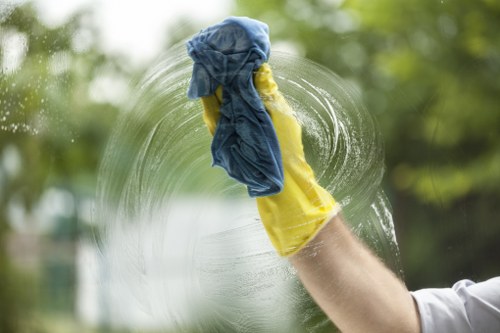 Deep cleaning support for a Chiswick family home