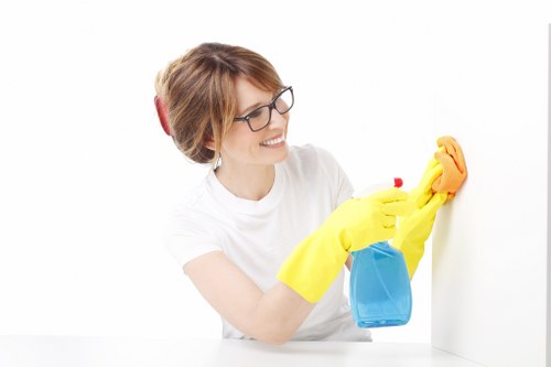 Detailed living room cleaning before tenancy handover in Chiswick