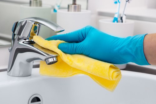 Bathroom deep cleaning in a Chiswick home