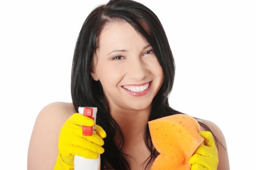 SSL encrypted Chiswick Carpetcleaning payment processing illustration